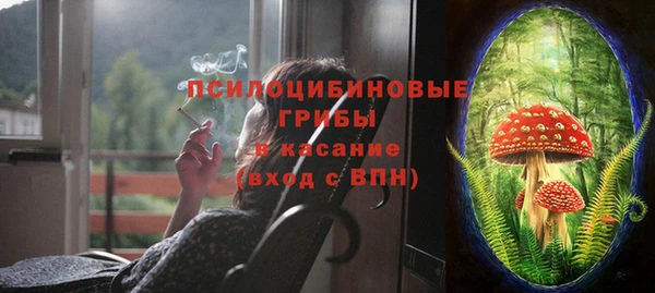 крисы Беломорск