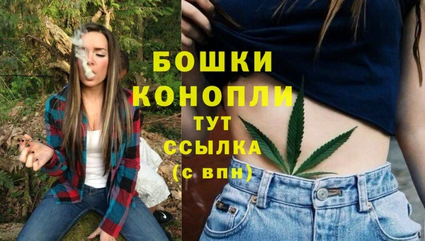 винт Белокуриха
