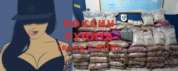 прущие крисы Балахна